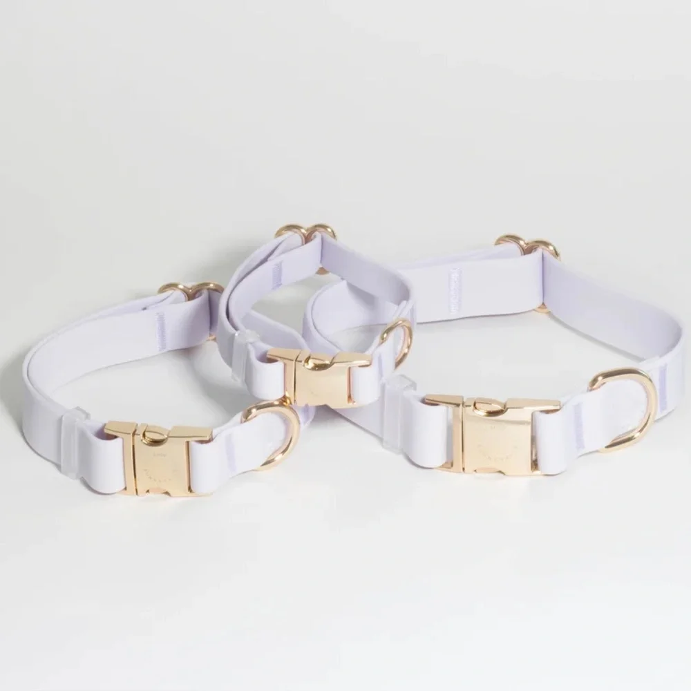 Sunny Tails Lavender Haze Waterproof Dog Collar Gold Hardware Purple Large L 1in
